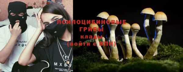 ПСИЛОЦИБИНОВЫЕ ГРИБЫ Алексеевка
