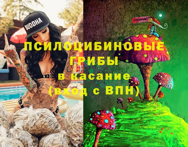 ПСИЛОЦИБИНОВЫЕ ГРИБЫ Алексеевка